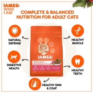 IAMS 2